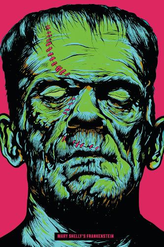 Бумажная книга «Frankenstein», автор Мэри Шелли - фото №1