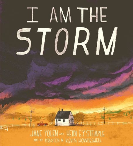 Паперова книга «I Am the Storm», авторів Хейді Е. Й. Стемпл, Джейн Йолен - фото №1