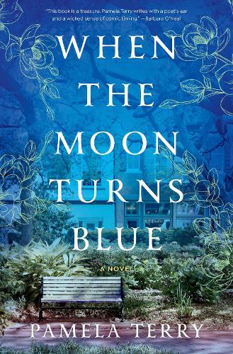 Бумажная книга «When the Moon Turns Blue», автор Памела Терри - фото №1