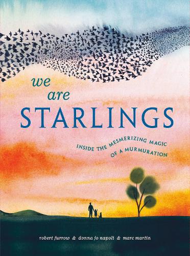 Бумажная книга «We Are Starlings», автор Донна Джо Наполи - фото №1