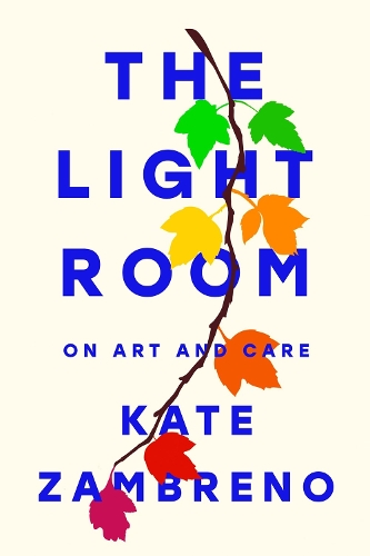 Бумажная книга «The Light Room», автор Кейт Замбрено - фото №1
