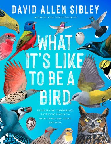 Бумажная книга «What It's Like to Be a Bird (Adapted for Young Readers): From Flying to Nesting, Eating to Singing--What Birds Are Doing and Why», автор Дэвид Аллен Сибли - фото №1