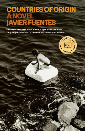 Бумажная книга «Countries of Origin: A Novel», автор Хавьер Фуэнтес - фото №1