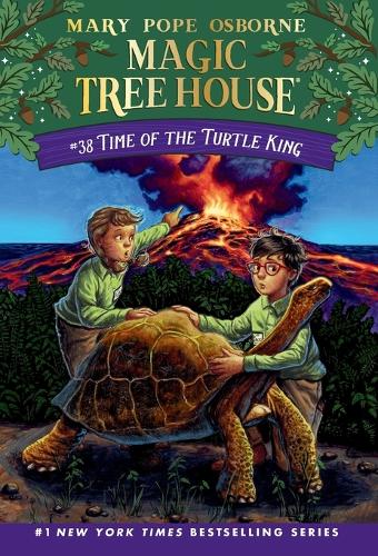 [object Object] «Time of the Turtle King», авторів А.Г. Форд, Мері Поуп Осборн - фото №1