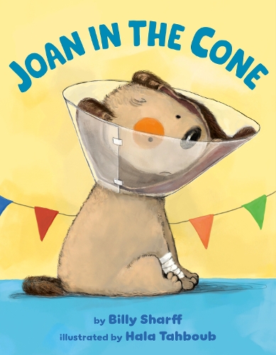 Бумажная книга «Joan in the Cone», автор Билли Шарфф - фото №1