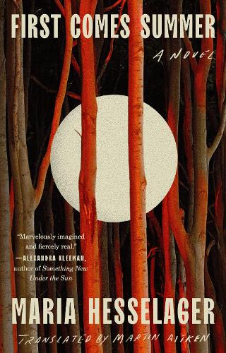 Бумажная книга «First Comes Summer», авторов Мария Хесселагер, Мартин Эйткен - фото №1