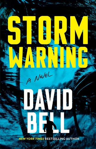 Бумажная книга «Storm Warning», автор Дэвид Белл - фото №1