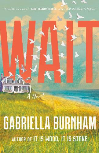 Паперова книга «Wait: A Novel», автор Ґабріелла Бернем - фото №1