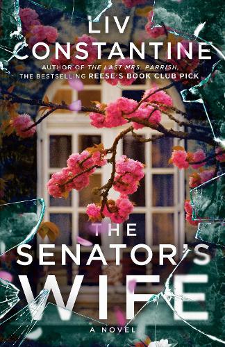Бумажная книга «The Senator's Wife: A Novel», автор Лив Константин - фото №1
