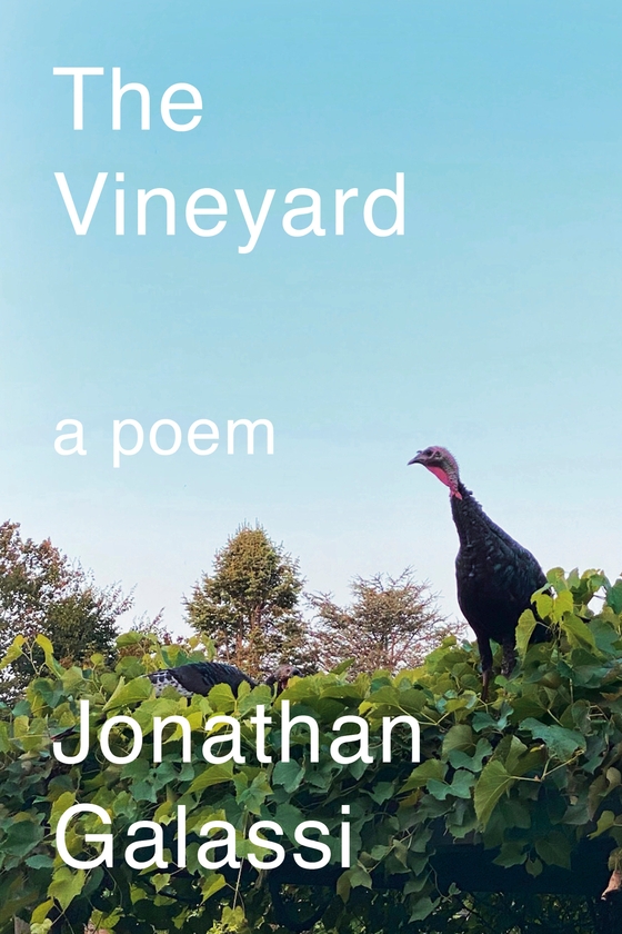 Паперова книга «The Vineyard: A Poem», автор Джонатан Галассі - фото №1