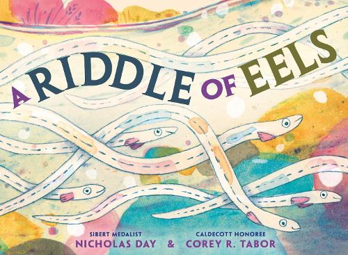 Paper book «A Riddle of Eels», authors Corey R. Tabor, Nicholas Day - фото №1