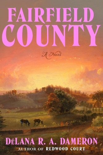 Паперова книга «Fairfield County: A Novel», автор Делана Р. А. Дамерон - фото №1