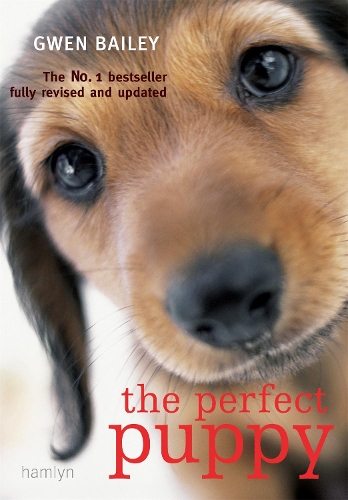 [object Object] «Perfect Puppy: The classic puppy training book now fully revised and updated», автор Гвен Бейли - фото №1