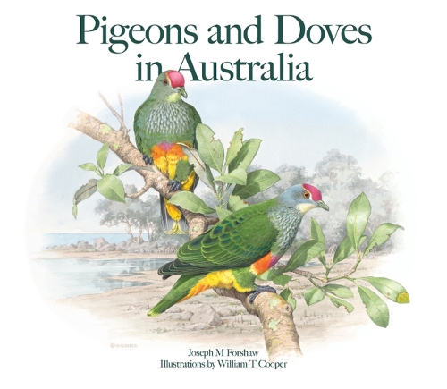 Бумажная книга «Pigeons and Doves in Australia», автор Джозеф М. Форшоу - фото №1