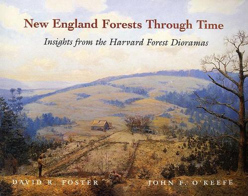 Паперова книга «New England Forests Through Time: Insights from the Harvard Forest Dioramas», авторів Девід Р. Фостер, Джон Ф. О'Кіф - фото №1