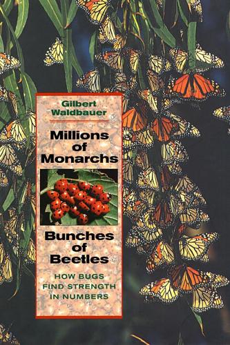 Бумажная книга «Millions of Monarchs, Bunches of Beetles: How Bugs Find Strength in Numbers», автор Жильбер Вальдбауэр - фото №1