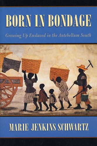 Бумажная книга «Born in Bondage: Growing Up Enslaved in the Antebellum South», автор Мари Дженкинс Шварц - фото №1