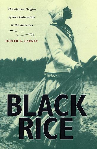 Бумажная книга «Black Rice: The African Origins of Rice Cultivation in the Americas», автор Джудит А. Карни - фото №1