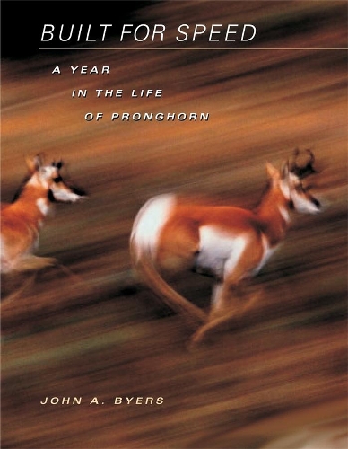 Бумажная книга «Built for Speed: A Year in the Life of Pronghorn», автор Джон А. Байерс - фото №1