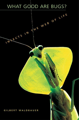 Бумажная книга «What Good Are Bugs?: Insects in the Web of Life», автор Жильбер Вальдбауэр - фото №1