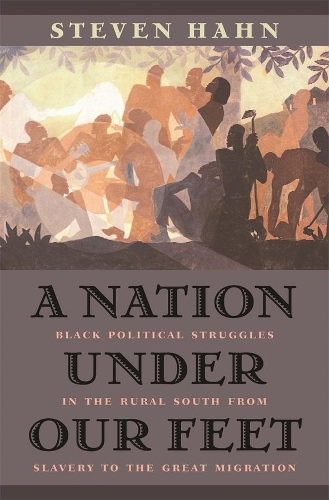 Бумажная книга «A Nation under Our Feet: Black Political Struggles in the Rural South from Slavery to the Great Migration», автор Стивен Хан - фото №1