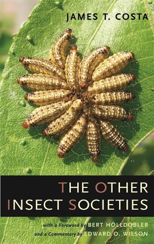Бумажная книга «The Other Insect Societies», автор Джеймс Т. Коста - фото №1