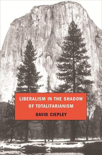 Бумажная книга «Liberalism in the Shadow of Totalitarianism», автор Дэвид Сипли - фото №1