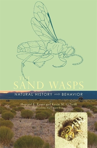 Паперова книга «The Sand Wasps: Natural History and Behavior», авторів Говард Е. Еванс, Кевін М. О'Ніл - фото №1