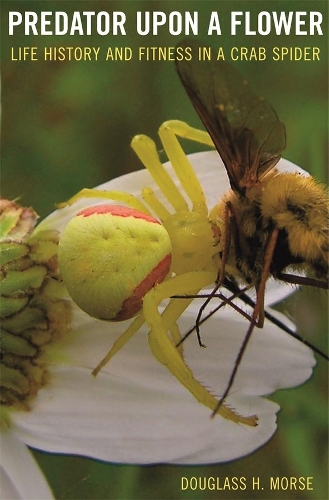 Бумажная книга «Predator upon a Flower: Life History and Fitness in a Crab Spider», автор Дуглас Х. Морс - фото №1