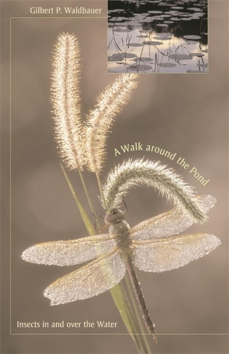 Бумажная книга «A Walk around the Pond: Insects in and over the Water», автор Жильбер Вальдбауэр - фото №1