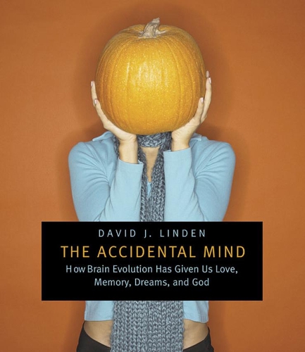 Бумажная книга «The Accidental Mind: How Brain Evolution Has Given Us Love, Memory, Dreams, and God», автор Дэвид Дж. Линден - фото №1