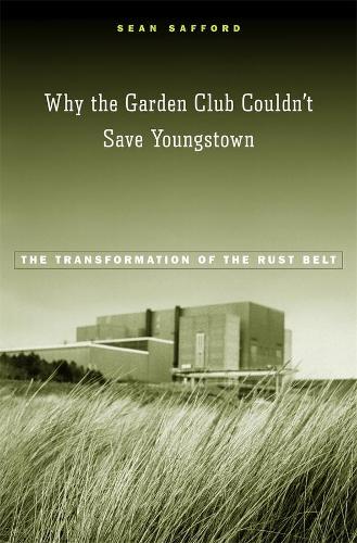 Бумажная книга «Why the Garden Club Couldn't Save Youngstown: The Transformation of the Rust Belt», автор Шон Саффорд - фото №1