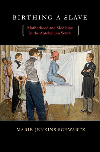 Бумажная книга «Birthing a Slave: Motherhood and Medicine in the Antebellum South», автор Мари Дженкинс Шварц - фото №1
