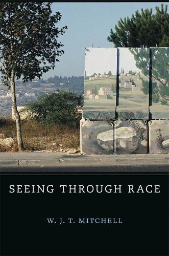 Паперова книга «Seeing Through Race», автор В. Дж. Т. Мітчелл - фото №1