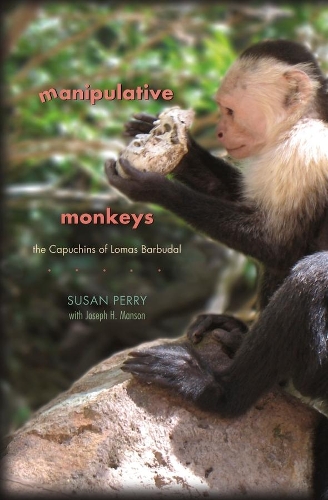 Бумажная книга «Manipulative Monkeys: The Capuchins of Lomas Barbudal», автор Сьюзен Перри - фото №1