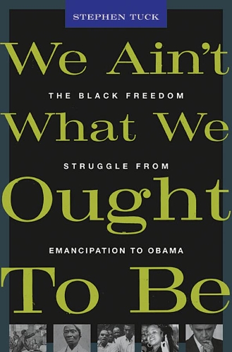 Бумажная книга «We Ain’t What We Ought To Be: The Black Freedom Struggle from Emancipation to Obama», автор Стивен Так - фото №1