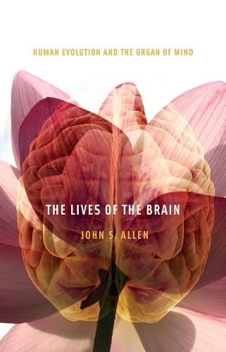 Бумажная книга «The Lives of the Brain: Human Evolution and the Organ of Mind», автор Джон С. Аллен - фото №1