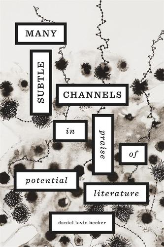 Бумажная книга «Many Subtle Channels: In Praise of Potential Literature», автор Даниэль Левин Беккер - фото №1