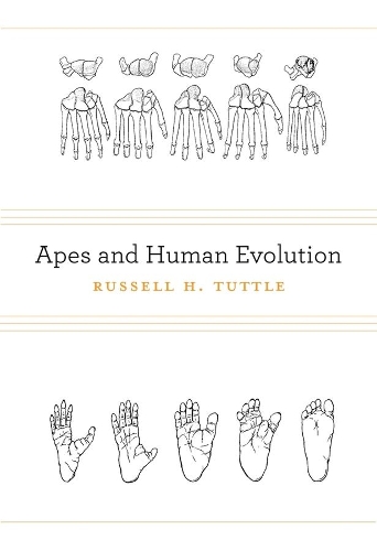 Бумажная книга «Apes and Human Evolution», автор Рассел Х. Таттл - фото №1