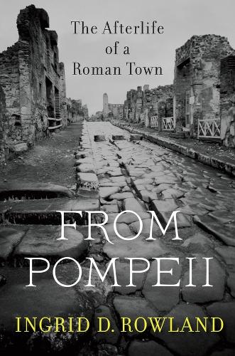 Бумажная книга «From Pompeii: The Afterlife of a Roman Town», автор Ингрид Д. Роуланд - фото №1