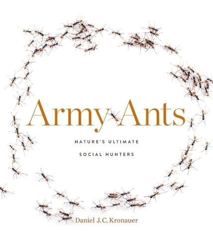 Бумажная книга «Army Ants: Nature’s Ultimate Social Hunters», автор Дэниел Дж. К. Кронауэр - фото №1