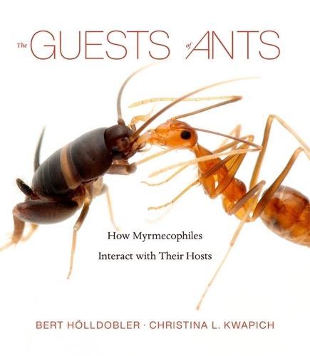 Бумажная книга «The Guests of Ants: How Myrmecophiles Interact with Their Hosts», авторов Берт Хёльдоблер, Кристина Л. Квапич - фото №1
