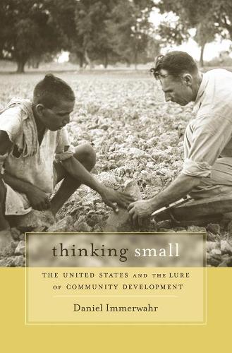 Бумажная книга «Thinking Small: The United States and the Lure of Community Development», автор Дэниел Иммервар - фото №1