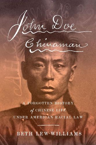 Бумажная книга «John Doe Chinaman: A Forgotten History of Chinese Life under American Racial Law», автор Бет Лью-Уильямс - фото №1
