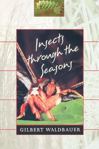 Паперова книга «Insects through the Seasons», автор Гілберт Вальдбауер - фото №1