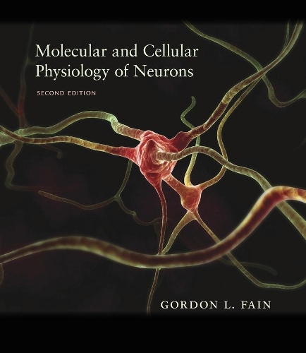 Бумажная книга «Molecular and Cellular Physiology of Neurons: Second Edition», автор Гордон Л. Фейн - фото №1