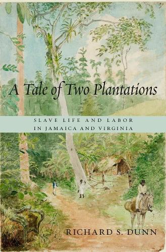 Бумажная книга «A Tale of Two Plantations: Slave Life and Labor in Jamaica and Virginia», автор Ричард С. Данн - фото №1