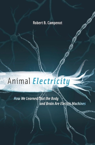 Бумажная книга «Animal Electricity: How We Learned That the Body and Brain Are Electric Machines», автор Роберт Б. Кампено - фото №1