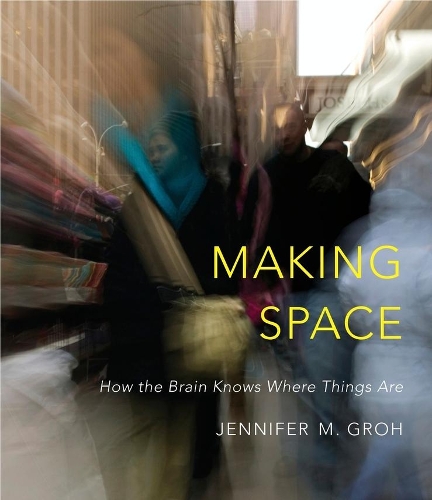Бумажная книга «Making Space: How the Brain Knows Where Things Are», автор Дженнифер М. Грох - фото №1