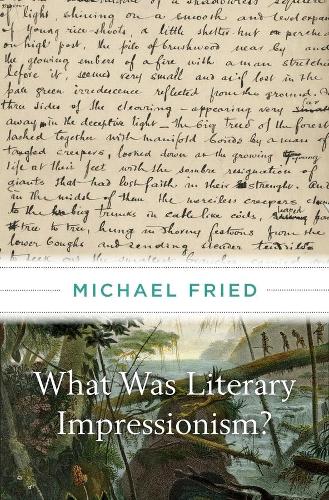 Бумажная книга «What Was Literary Impressionism?», автор Майкл Фрид - фото №1